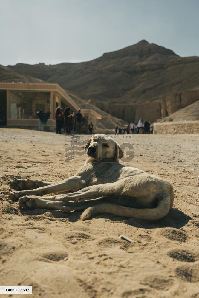 Illustration - Egypt