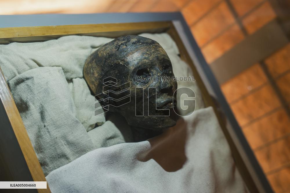 Illustration - Egypt