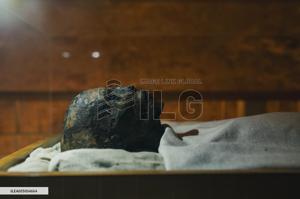 Illustration - Egypt