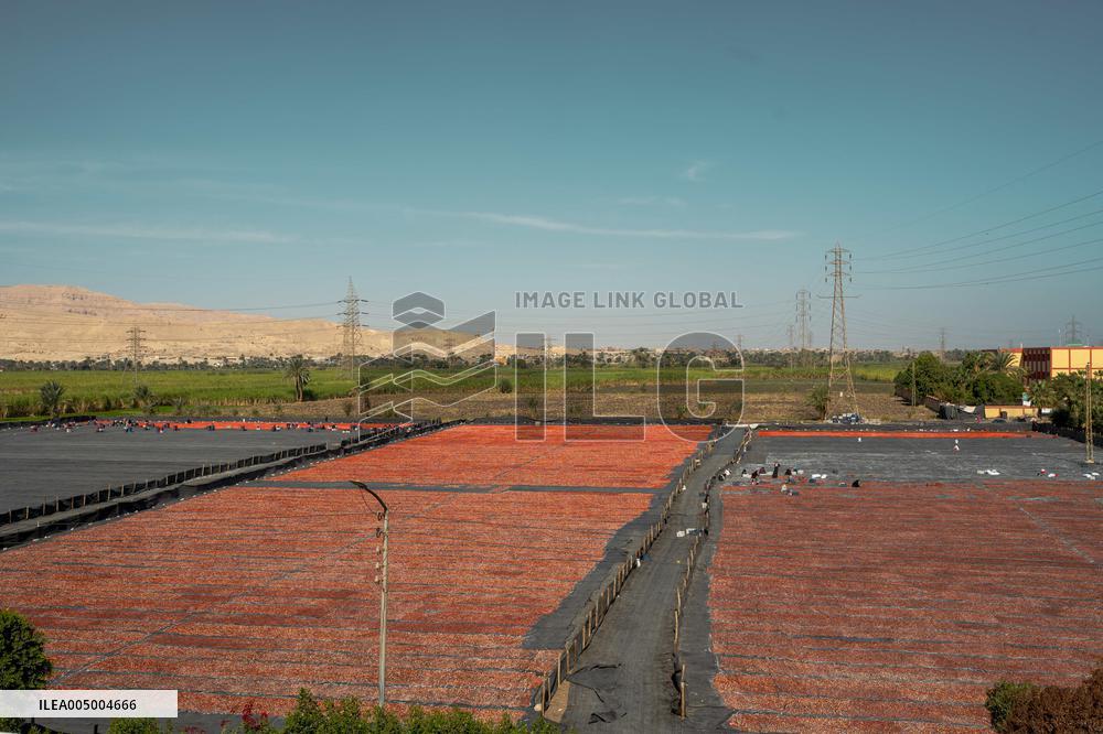 Illustration - Egypt