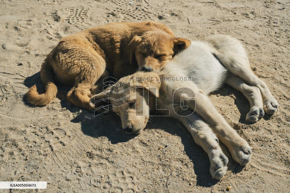 Illustration - Egypt