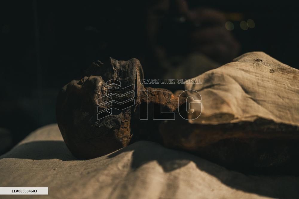 Illustration - Egypt