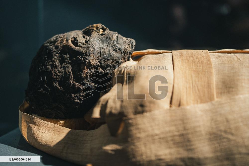 Illustration - Egypt