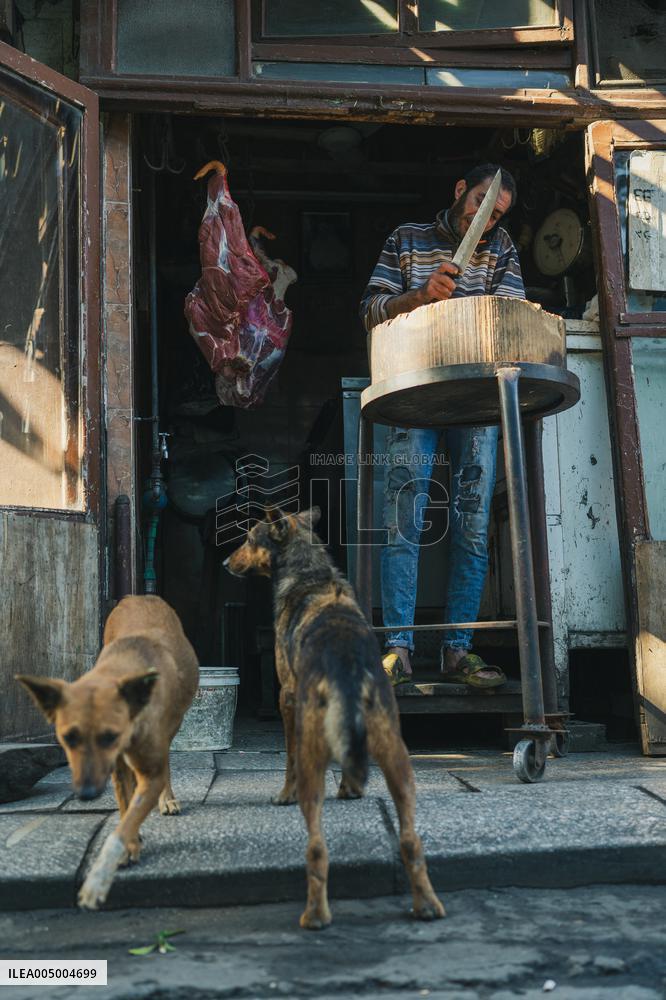 Illustration - Egypt