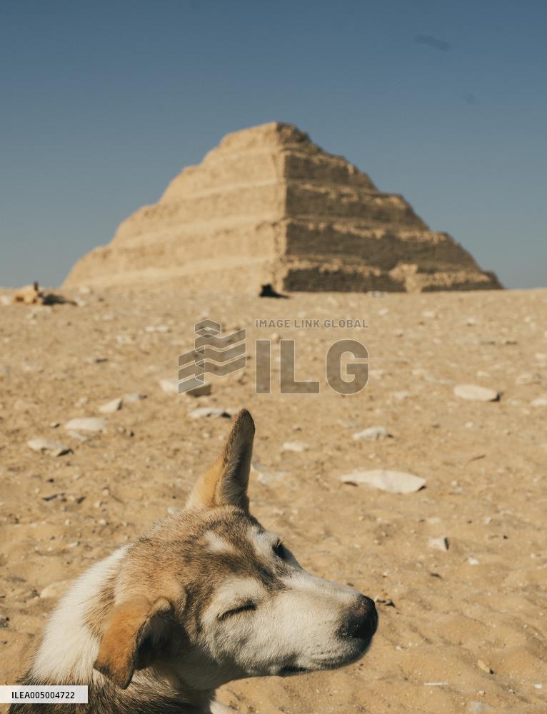 Illustration - Egypt