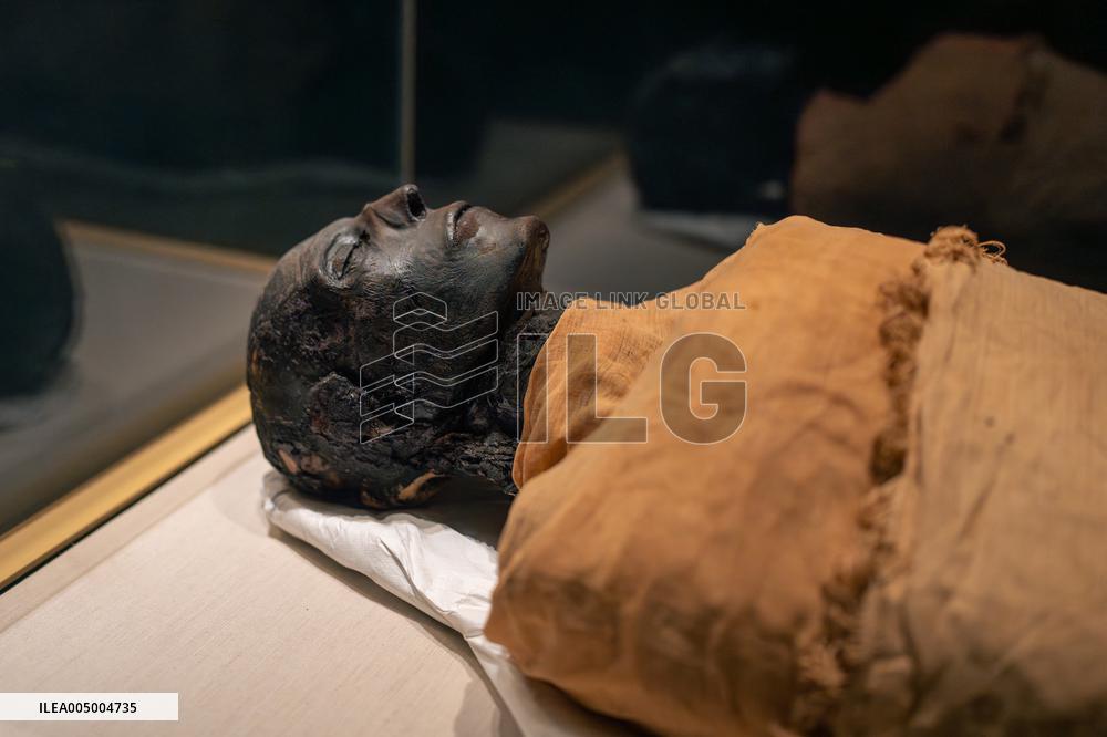 Illustration - Egypt