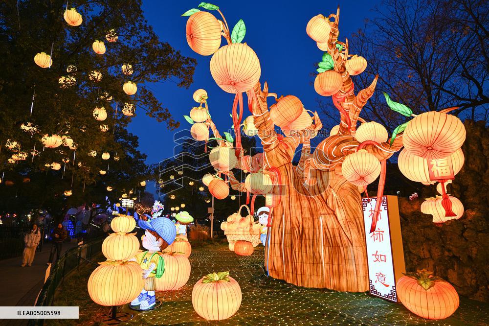 Festive Lantern Exhibited in Nanjing