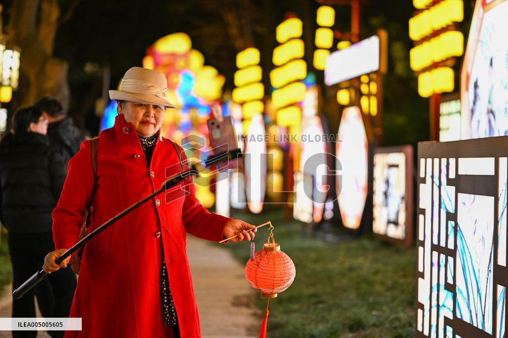 Festive Lantern Exhibited in Nanjing