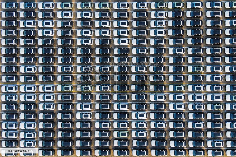 Shandong Ports Cargo Throughput