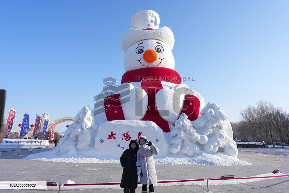 38th Sun Island International Snow Sculpture Art Expo - Harbin