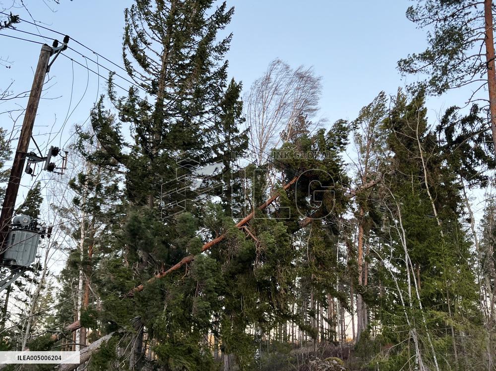 STORM JOHANNES SWEDEN