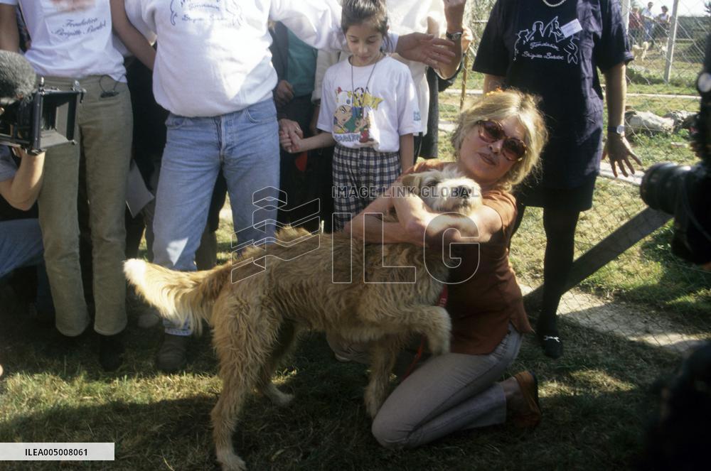 EXCLUSIF-BRIGITTE BARDOT