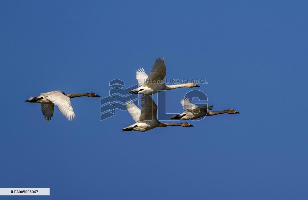 Minjiang River Estuary Nature Reserve - China