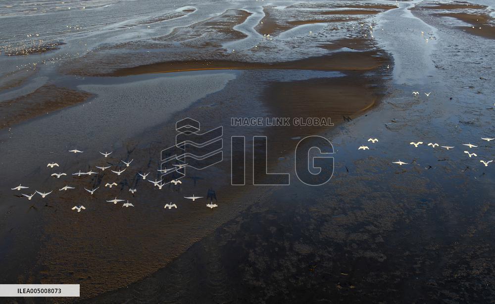 Minjiang River Estuary Nature Reserve - China