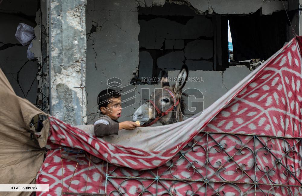 Daily Life at the Jabalia Refugee Camp - Gaza