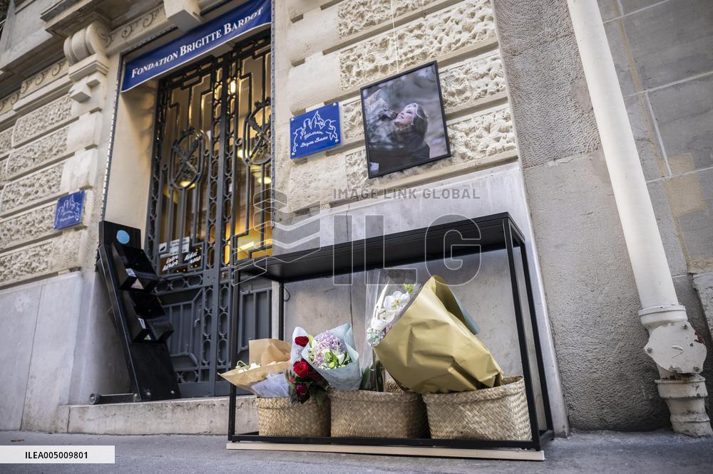 Flowers at Fondation Brigitte Bardot After Actress Death - Paris