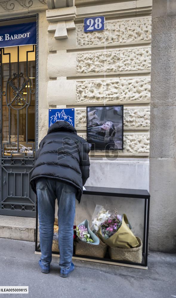 Flowers at Fondation Brigitte Bardot After Actress Death - Paris