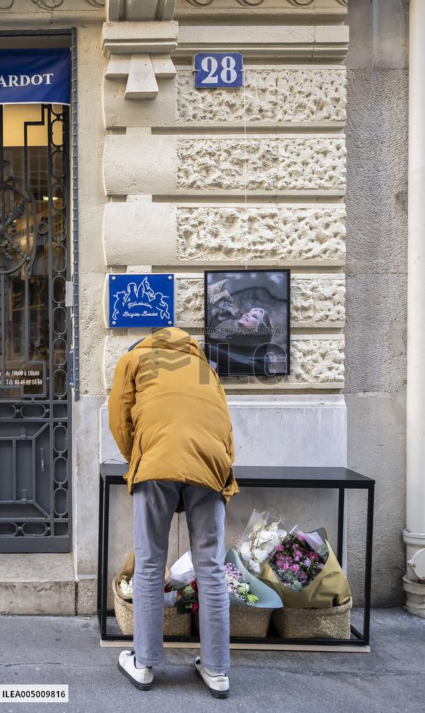 Flowers at Fondation Brigitte Bardot After Actress Death - Paris
