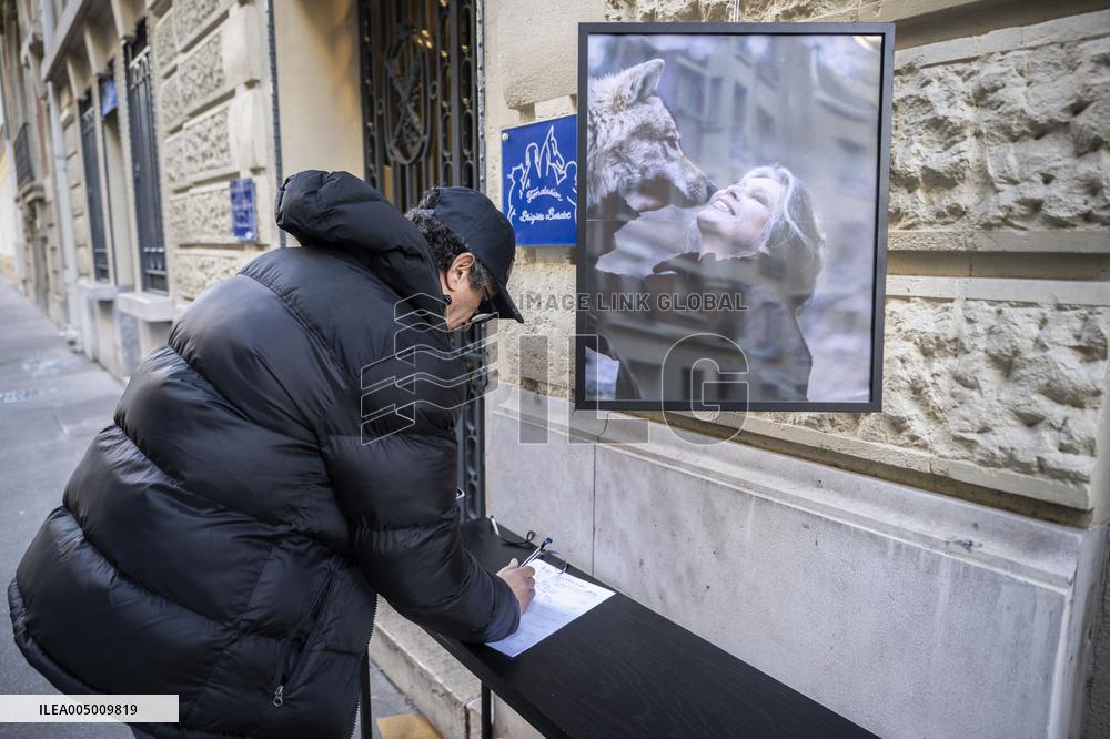 Flowers at Fondation Brigitte Bardot After Actress Death - Paris