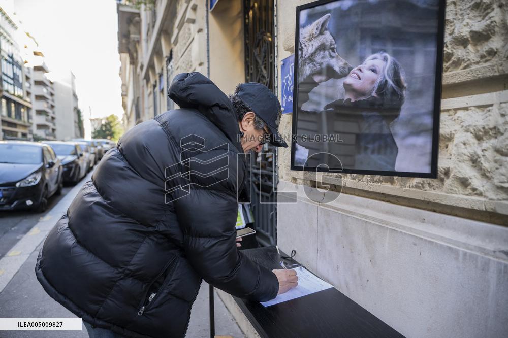Flowers at Fondation Brigitte Bardot After Actress Death - Paris