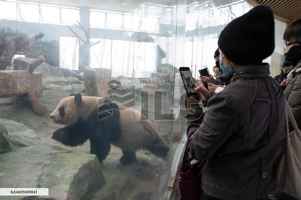 China Conservation and Research Center for the Giant Panda - Mianyang