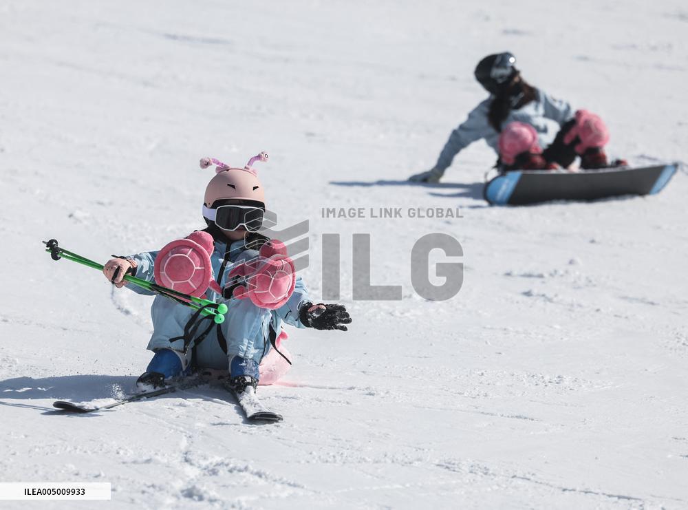 Ice And Snow Industry Development In Zhejiang - China