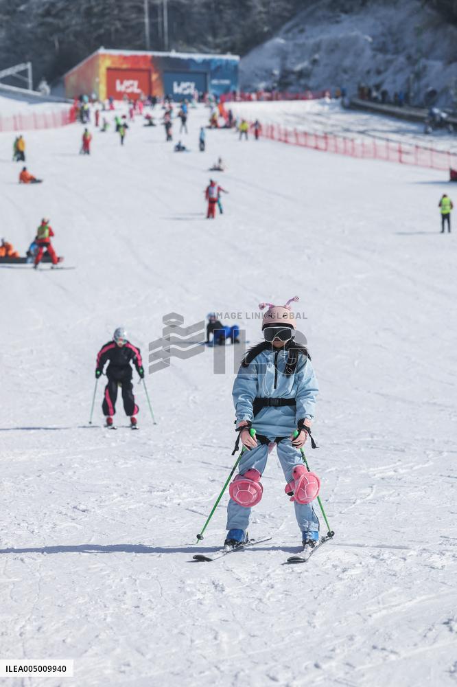 Ice And Snow Industry Development In Zhejiang - China