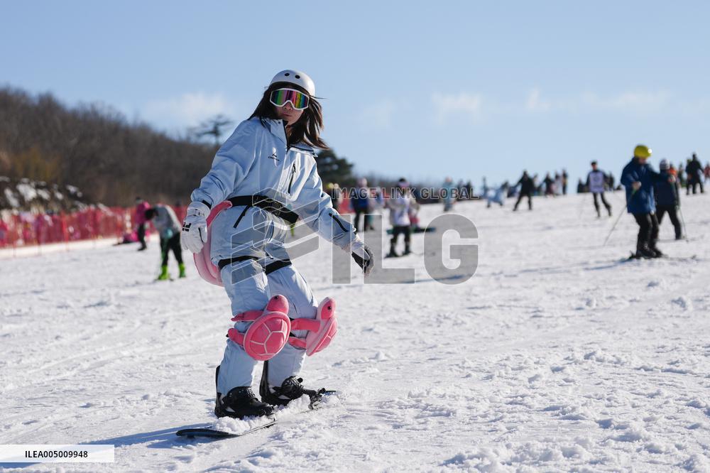 Ice And Snow Industry Development In Zhejiang - China