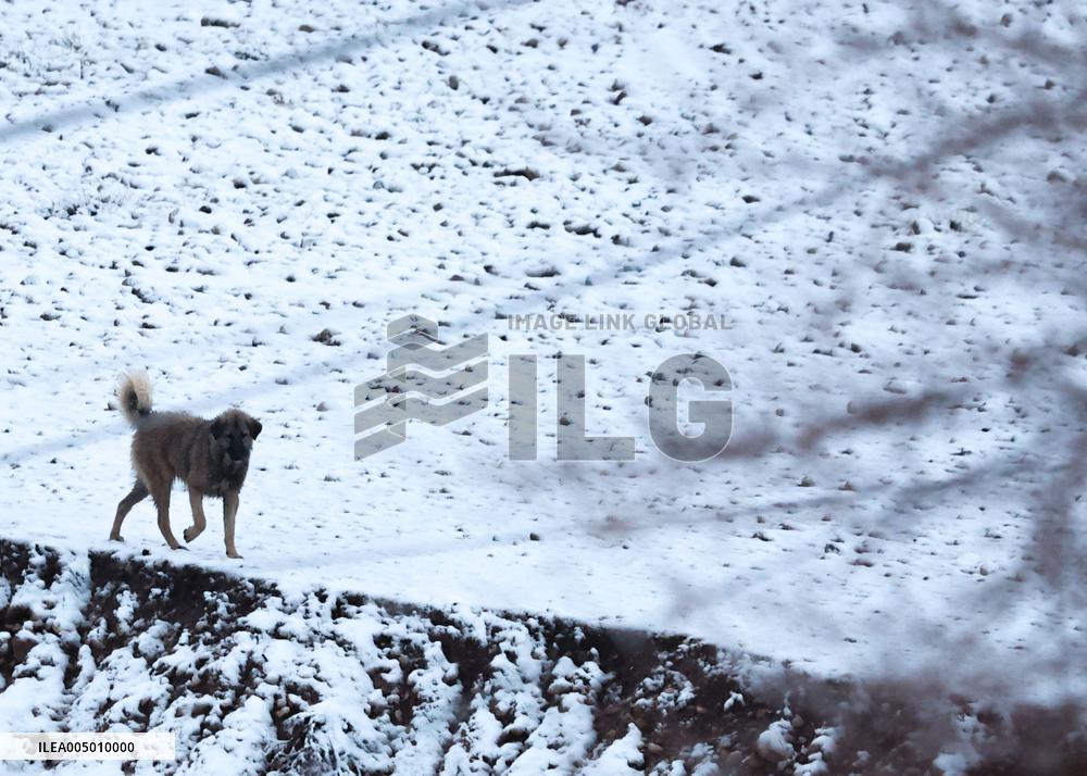 Rare Heavy Snowfall Blankets Erbil After 6 Years - Iraq