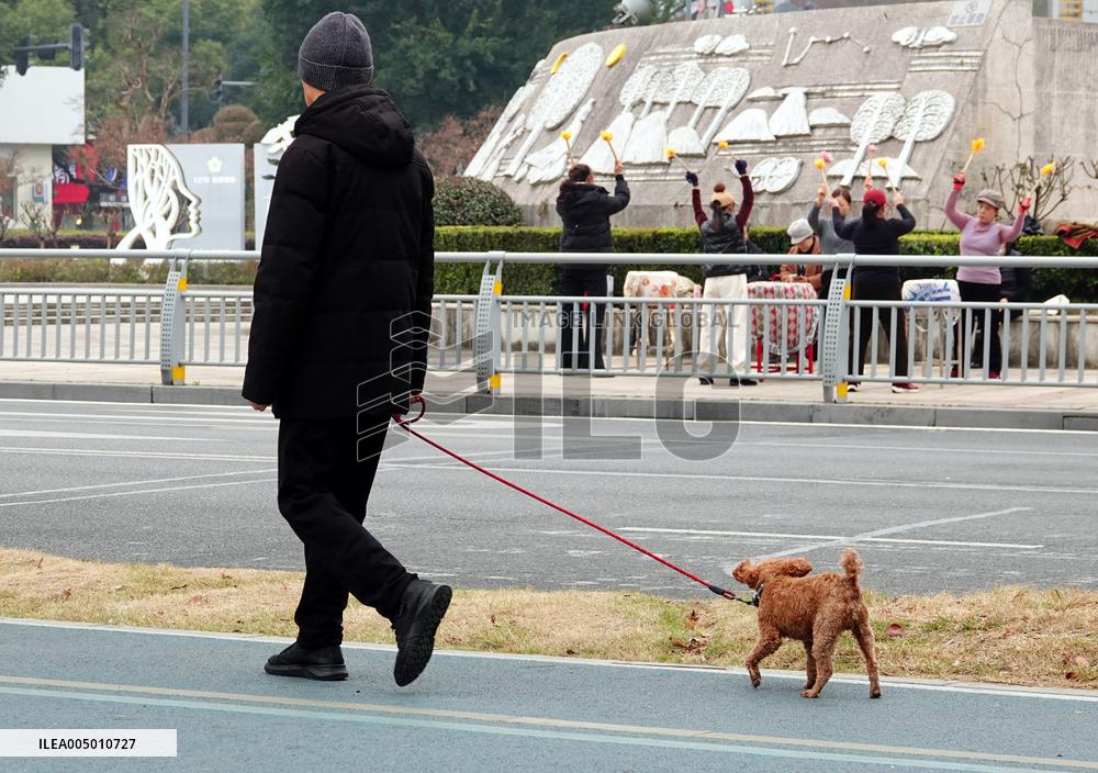Walk Dog With  Leash