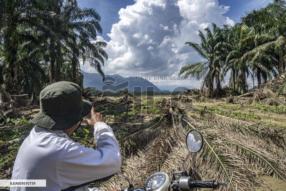 Leuser's Grief Under Tropical Cyclone Senyar - Indonesia