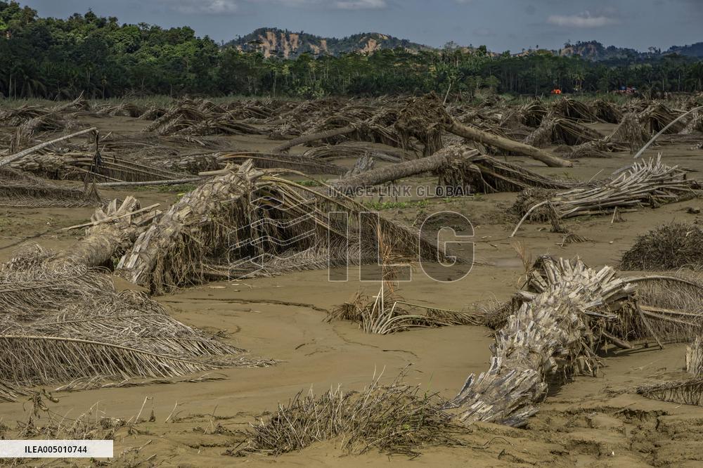 Leuser's Grief Under Tropical Cyclone Senyar - Indonesia