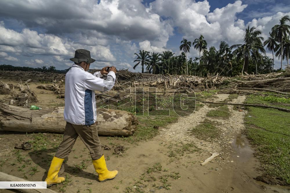 Leuser's Grief Under Tropical Cyclone Senyar - Indonesia