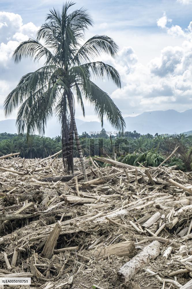 Leuser's Grief Under Tropical Cyclone Senyar - Indonesia