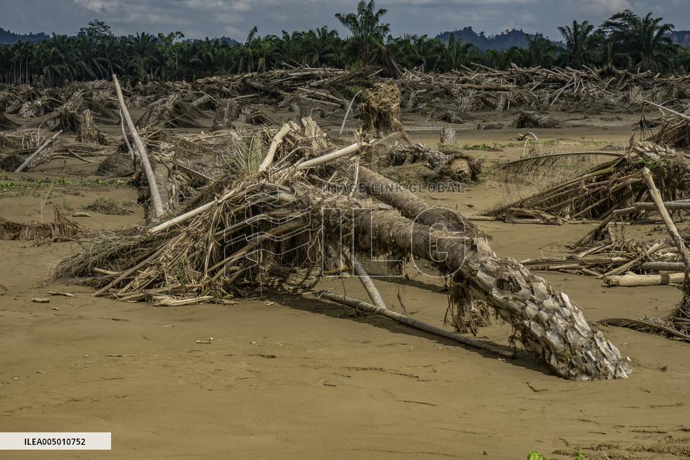Leuser's Grief Under Tropical Cyclone Senyar - Indonesia