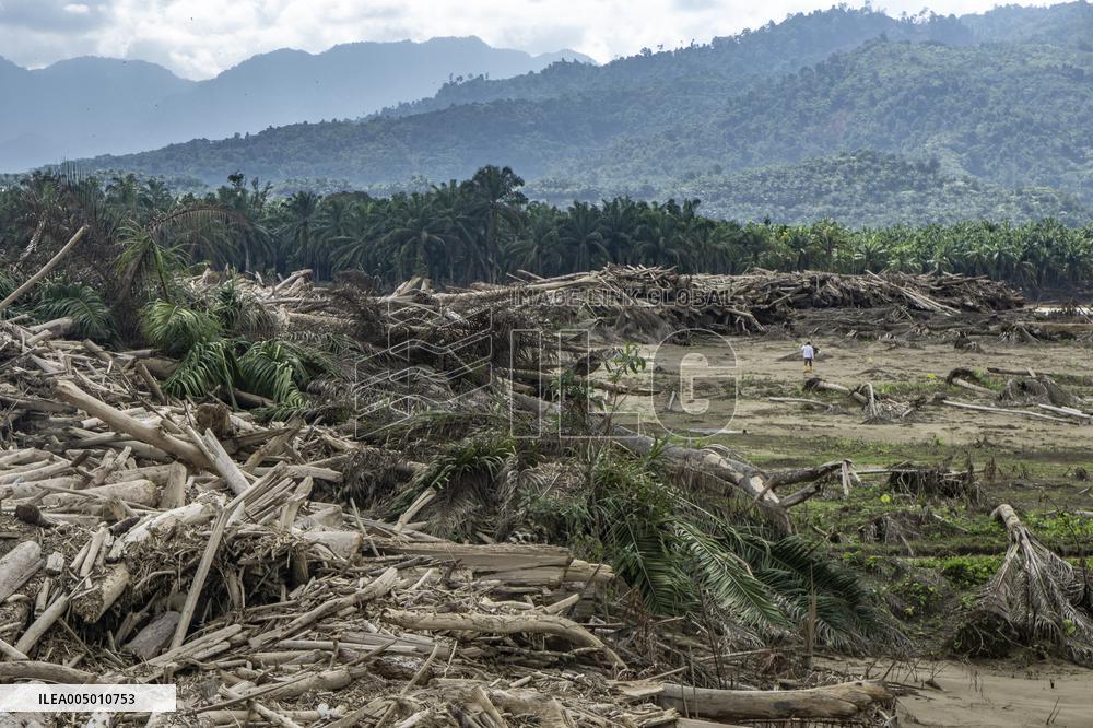 Leuser's Grief Under Tropical Cyclone Senyar - Indonesia