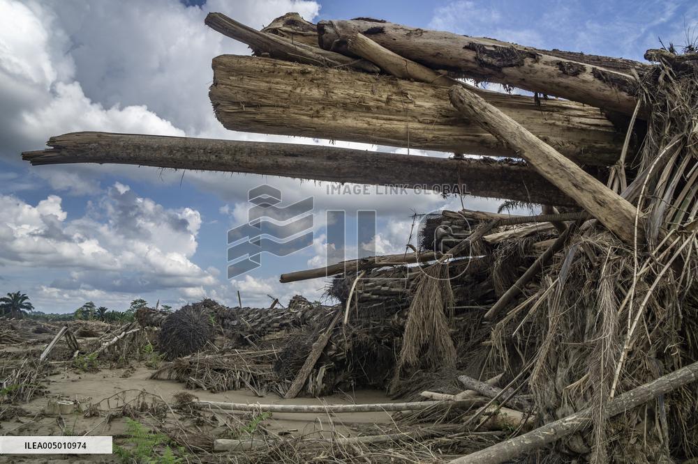 Leuser's Grief Under Tropical Cyclone Senyar - Indonesia