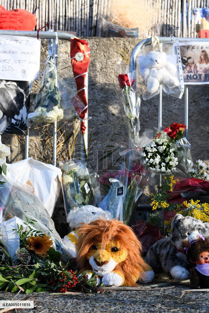 Hommage To Brigitte Bardot Outside Her House - Saint Tropez