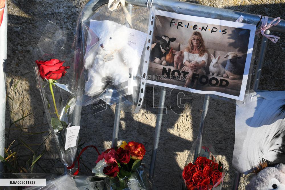 Hommage To Brigitte Bardot Outside Her House - Saint Tropez