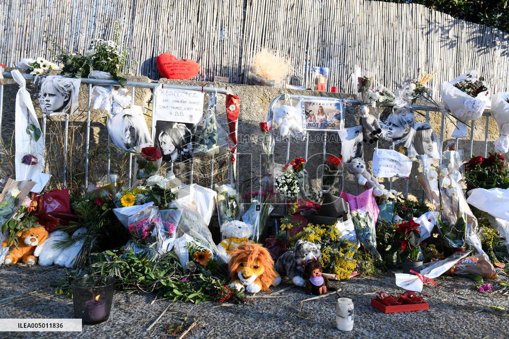 Hommage To Brigitte Bardot Outside Her House - Saint Tropez