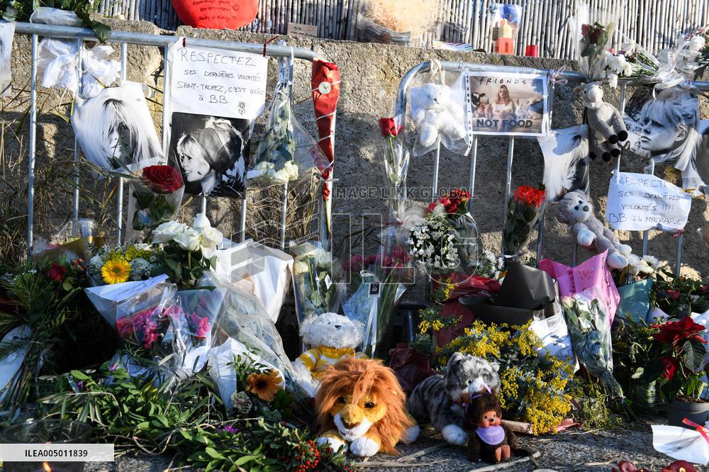 Hommage To Brigitte Bardot Outside Her House - Saint Tropez