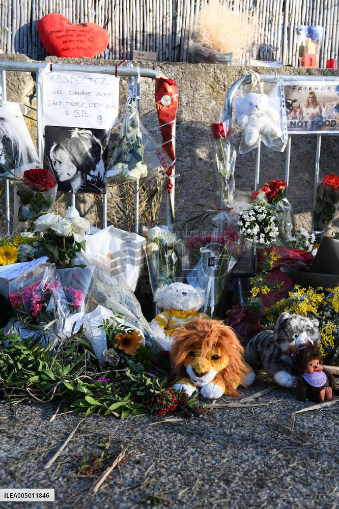 Hommage To Brigitte Bardot Outside Her House - Saint Tropez
