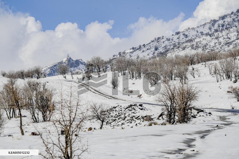 Snowfall In Kurdistan Region - Iraq