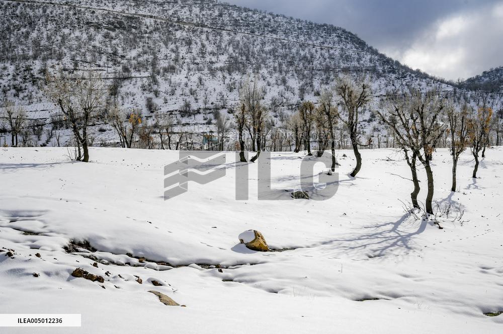 Snowfall In Kurdistan Region - Iraq