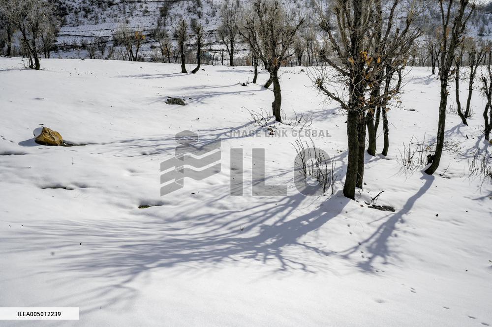 Snowfall In Kurdistan Region - Iraq