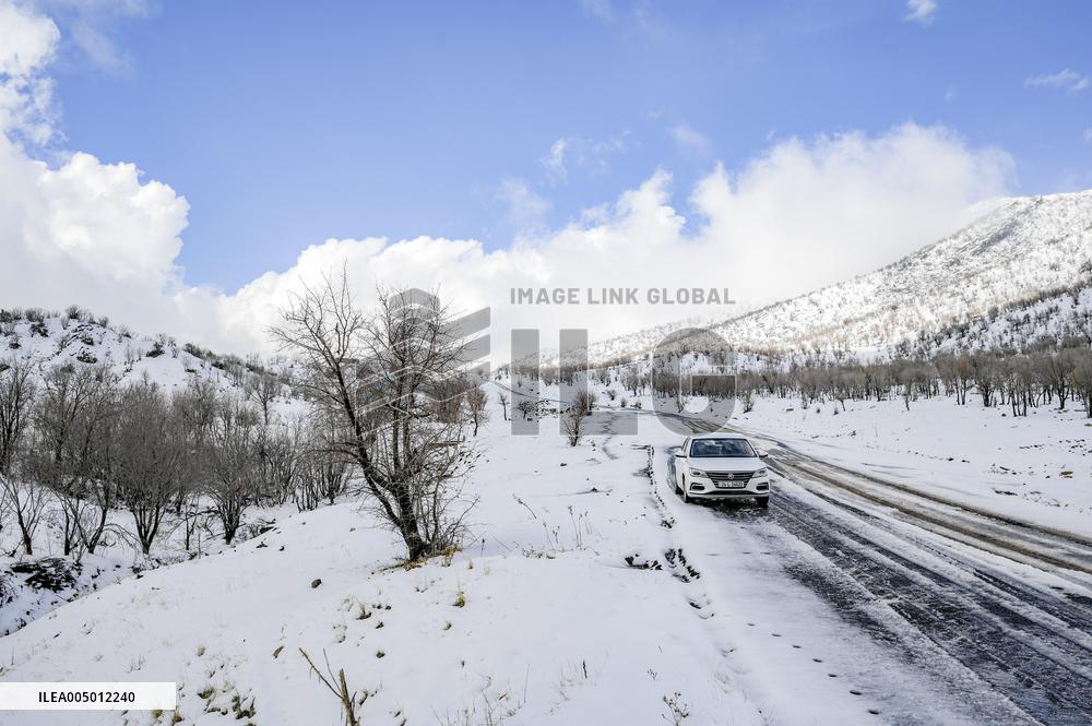 Snowfall In Kurdistan Region - Iraq