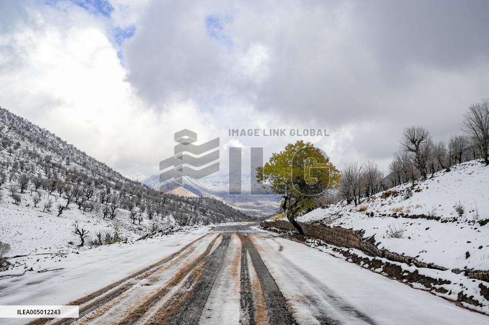 Snowfall In Kurdistan Region - Iraq