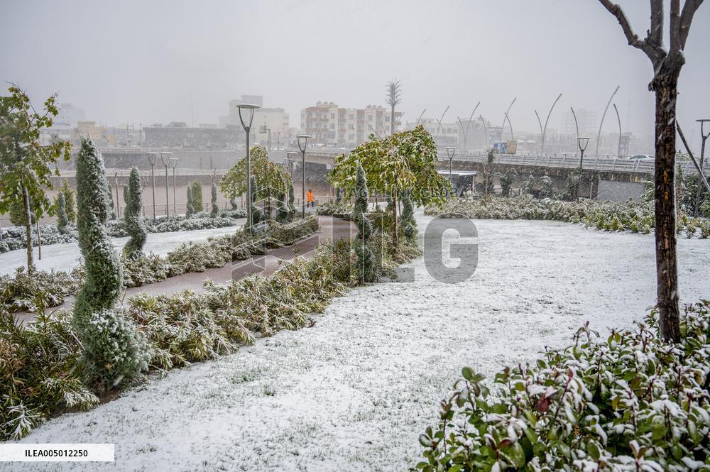 Snowfall In Kurdistan Region - Iraq
