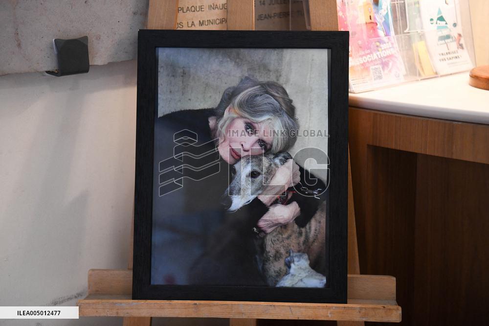 Brigitte Bardot Tribute At Town Hall - Saint Tropez