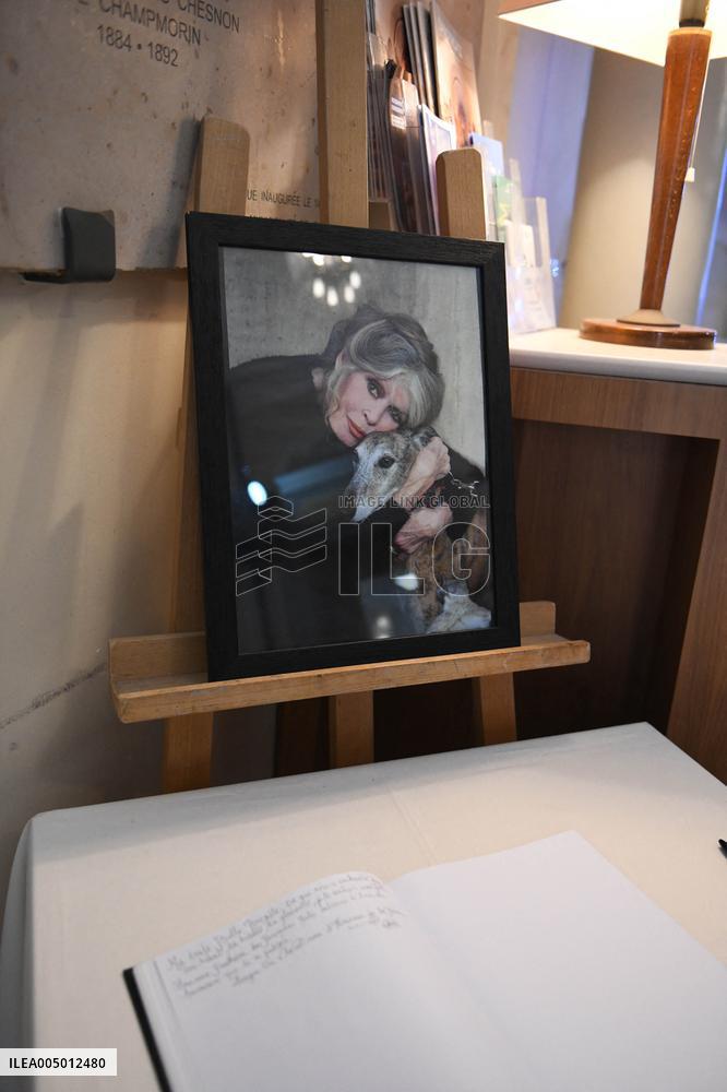 Brigitte Bardot Tribute At Town Hall - Saint Tropez